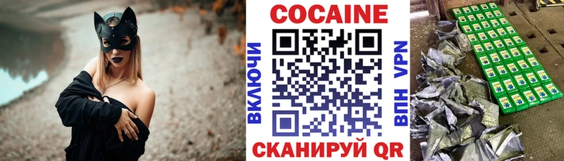 Купить  Палласовка  КОКАИН Fish Scale 