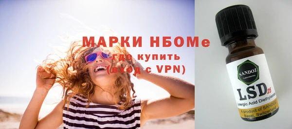 мяу мяу мука Инсар