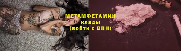 PSILOCYBIN Тайга