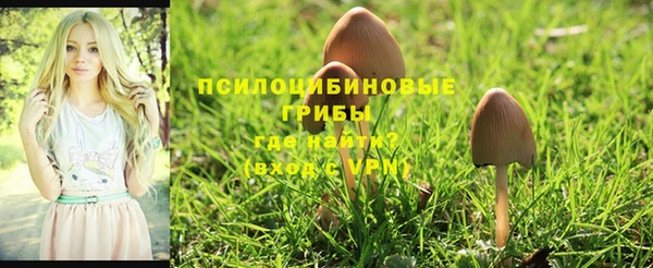 mdpv Инта