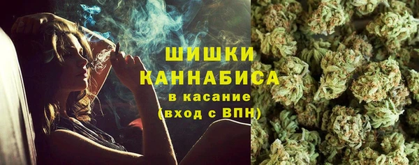 мяу мяу мука Инсар