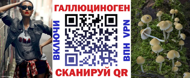 Купить закладки  Палласовка  Псилоцибиновые грибы мухоморы 